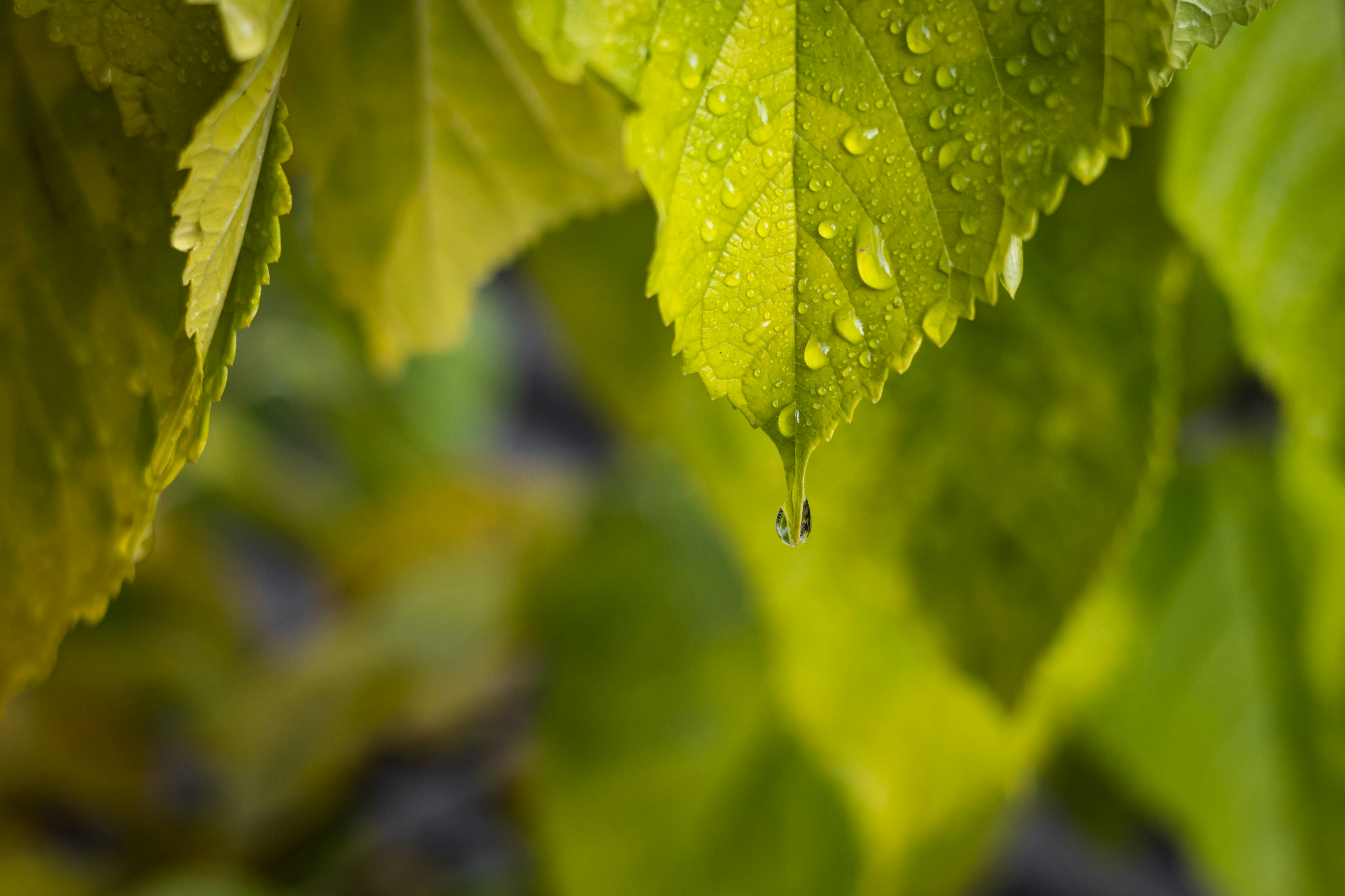 Photo by greg_rosenke