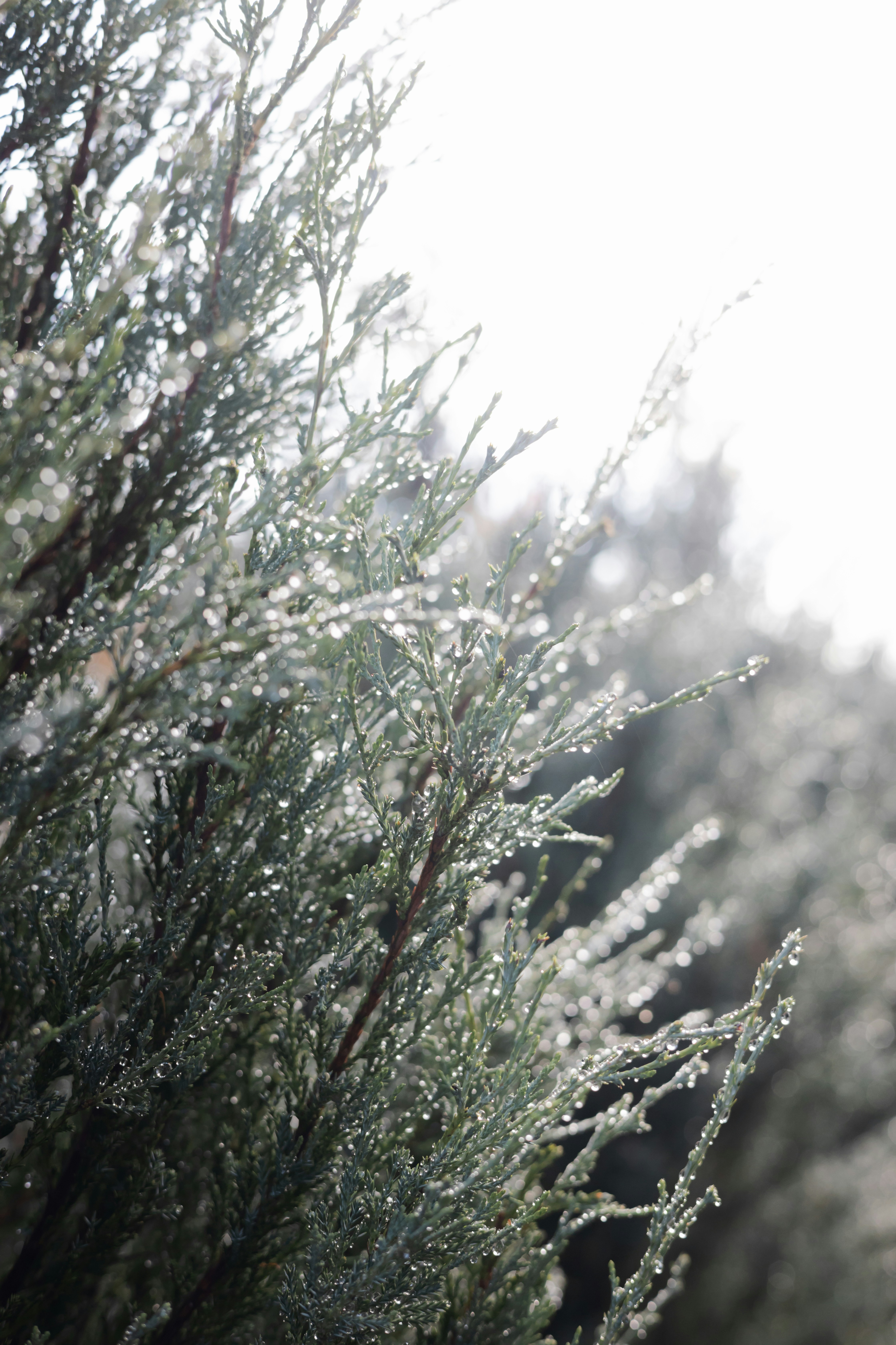 Photo by greg_rosenke