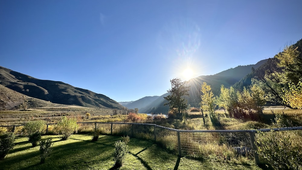 the sun shines brightly over a grassy field