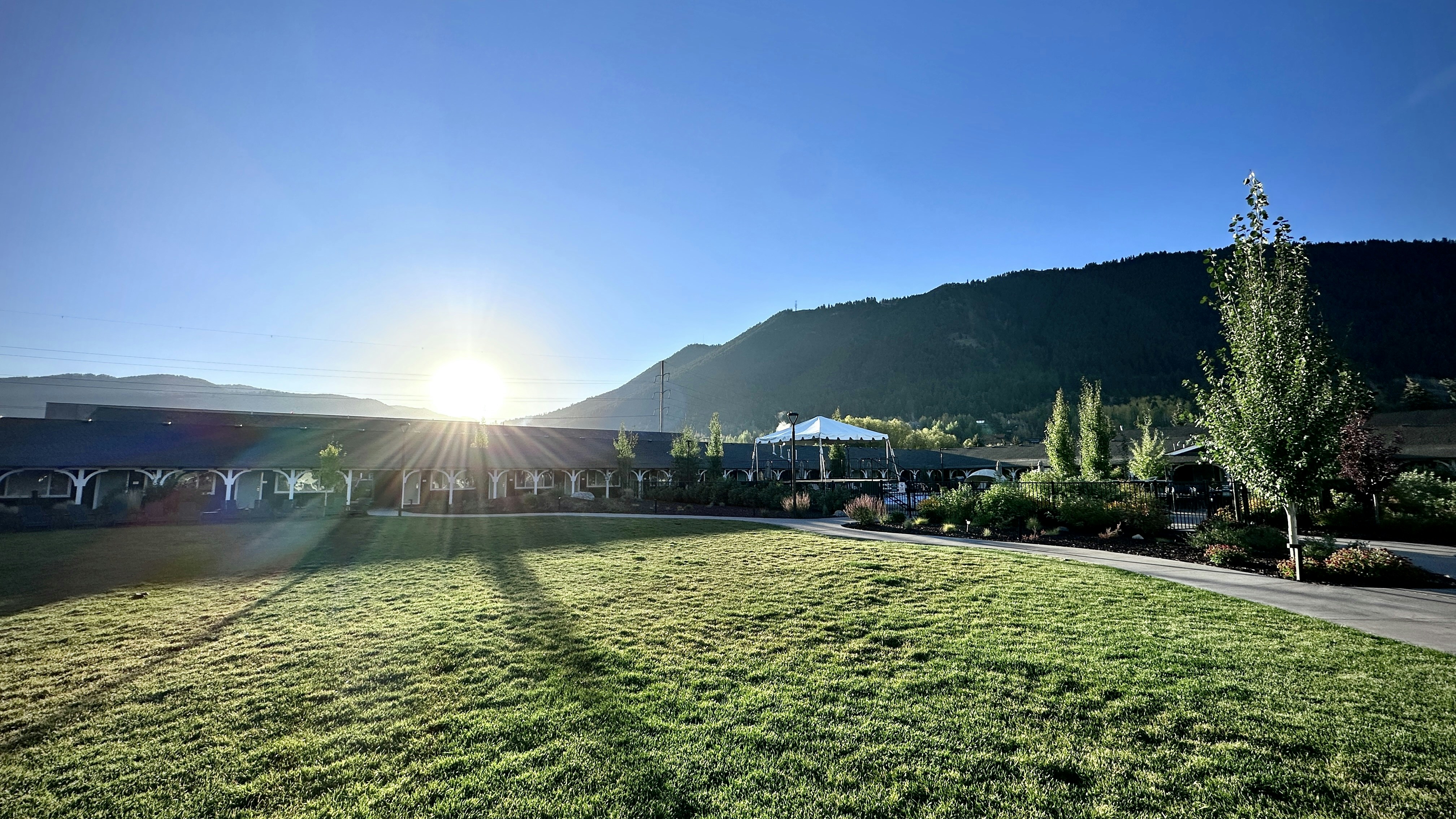 the sun shines brightly over a grassy field