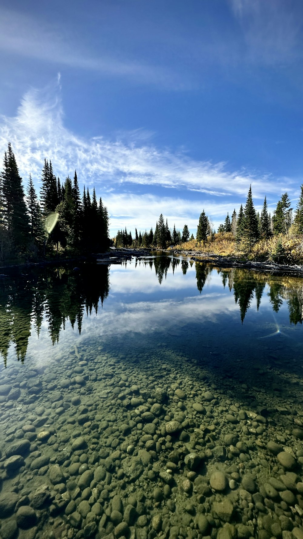 a body of water surrounded by trees and rocks