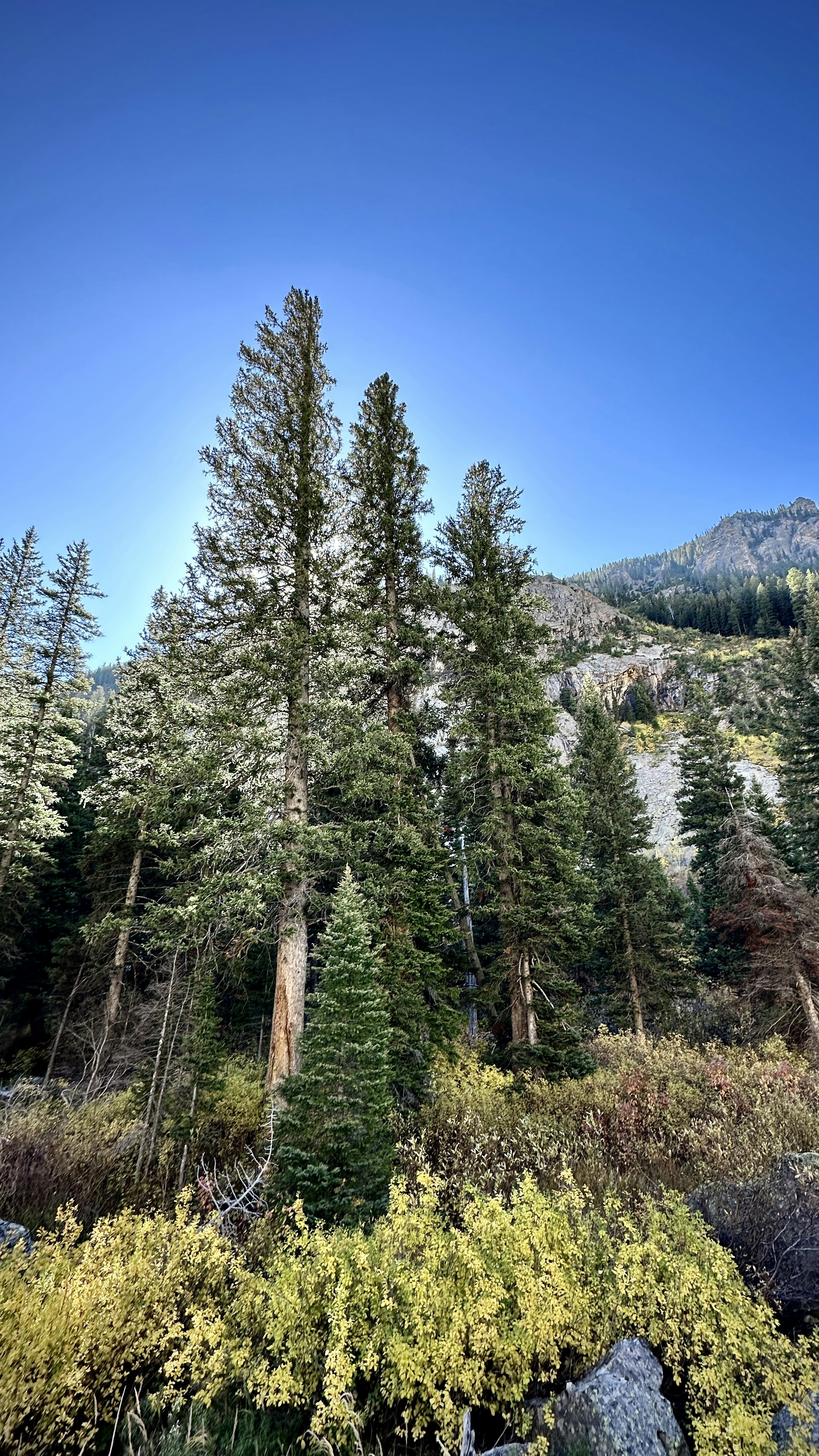 Photo by dapperprofessional