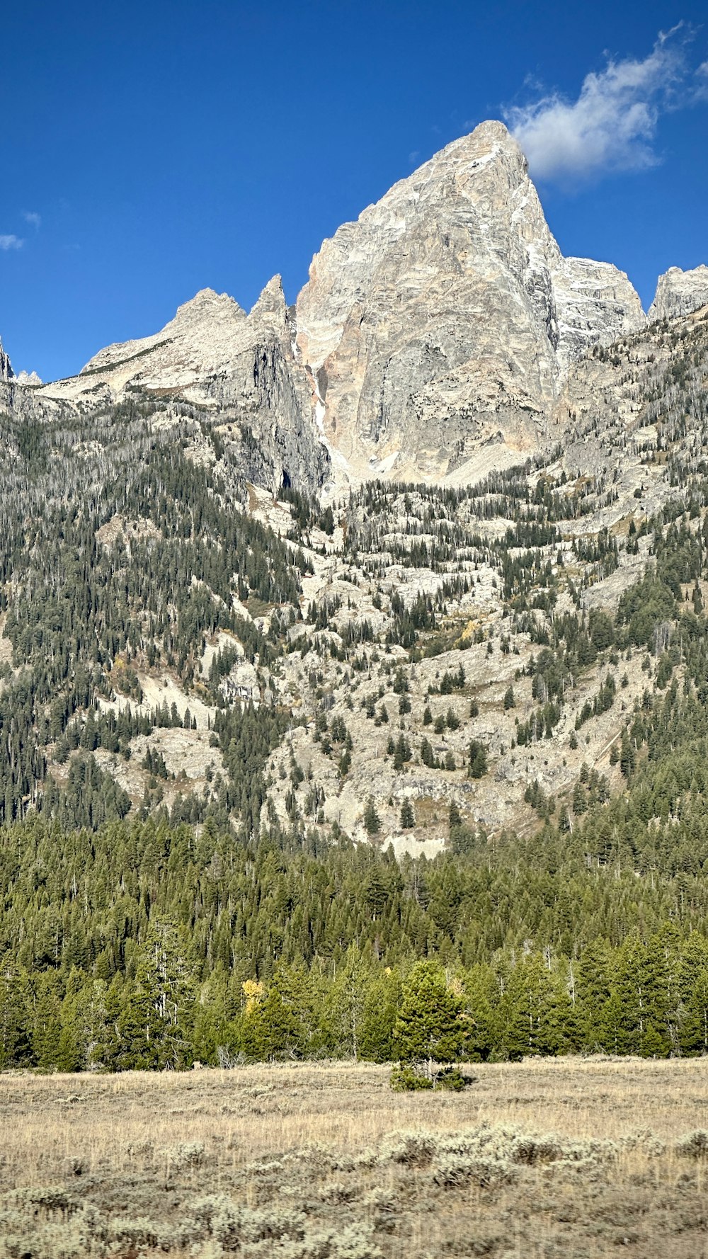 a mountain range with a few trees in the foreground