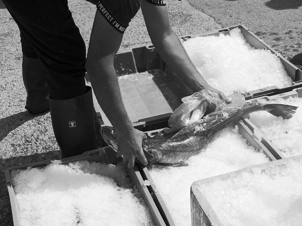 a black and white photo of a person cutting fish