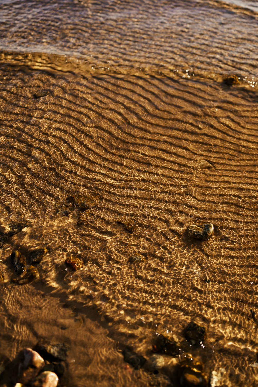 a sandy beach with small rocks and water