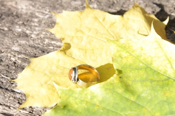 A silver ring with a round amber stone is placed on a bed of yellow and green autumn leaves. The surface beneath the leaves appears to be textured wood, adding a rustic feel to the composition.