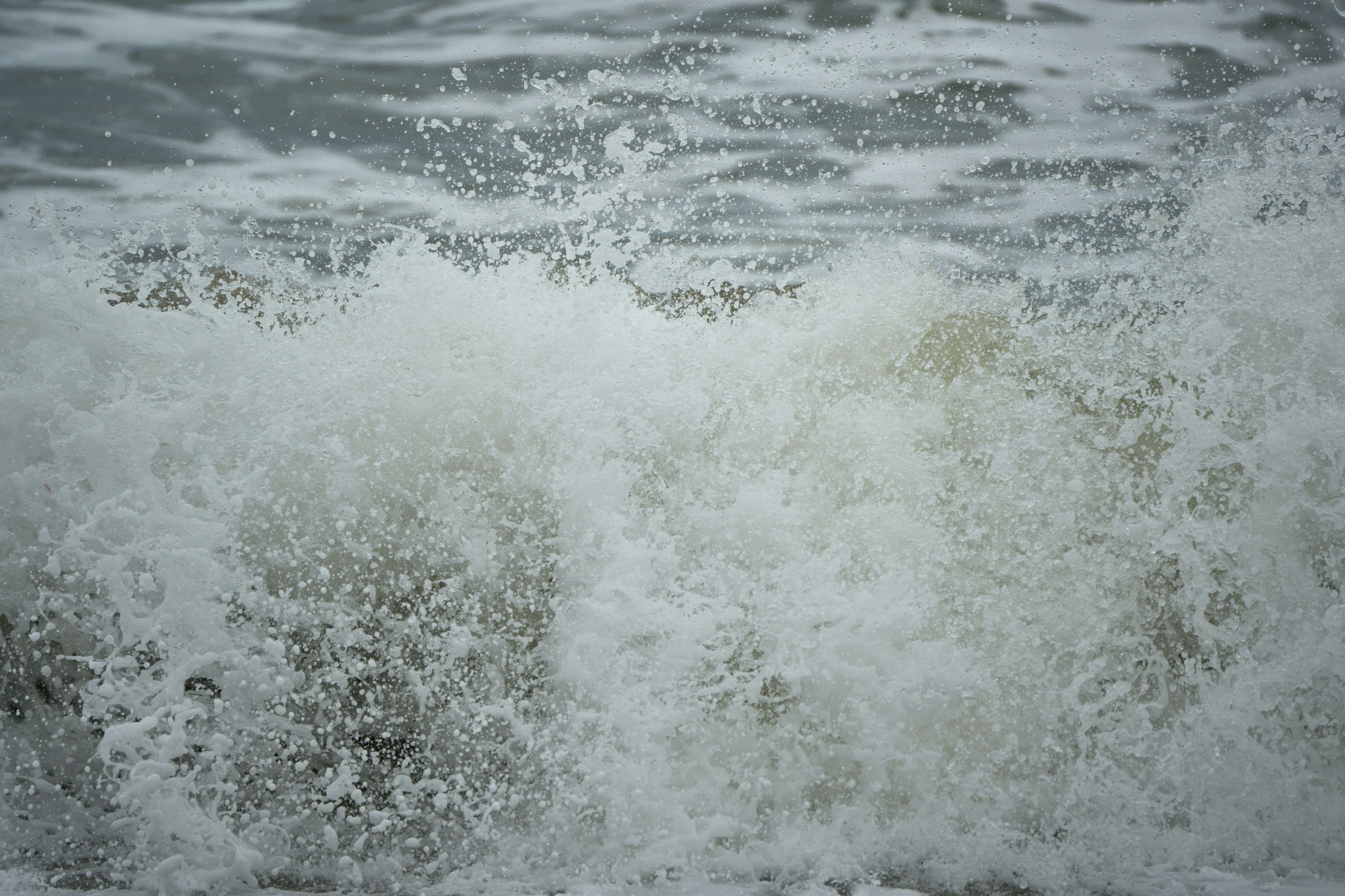 Photo by wolfgang_hasselmann