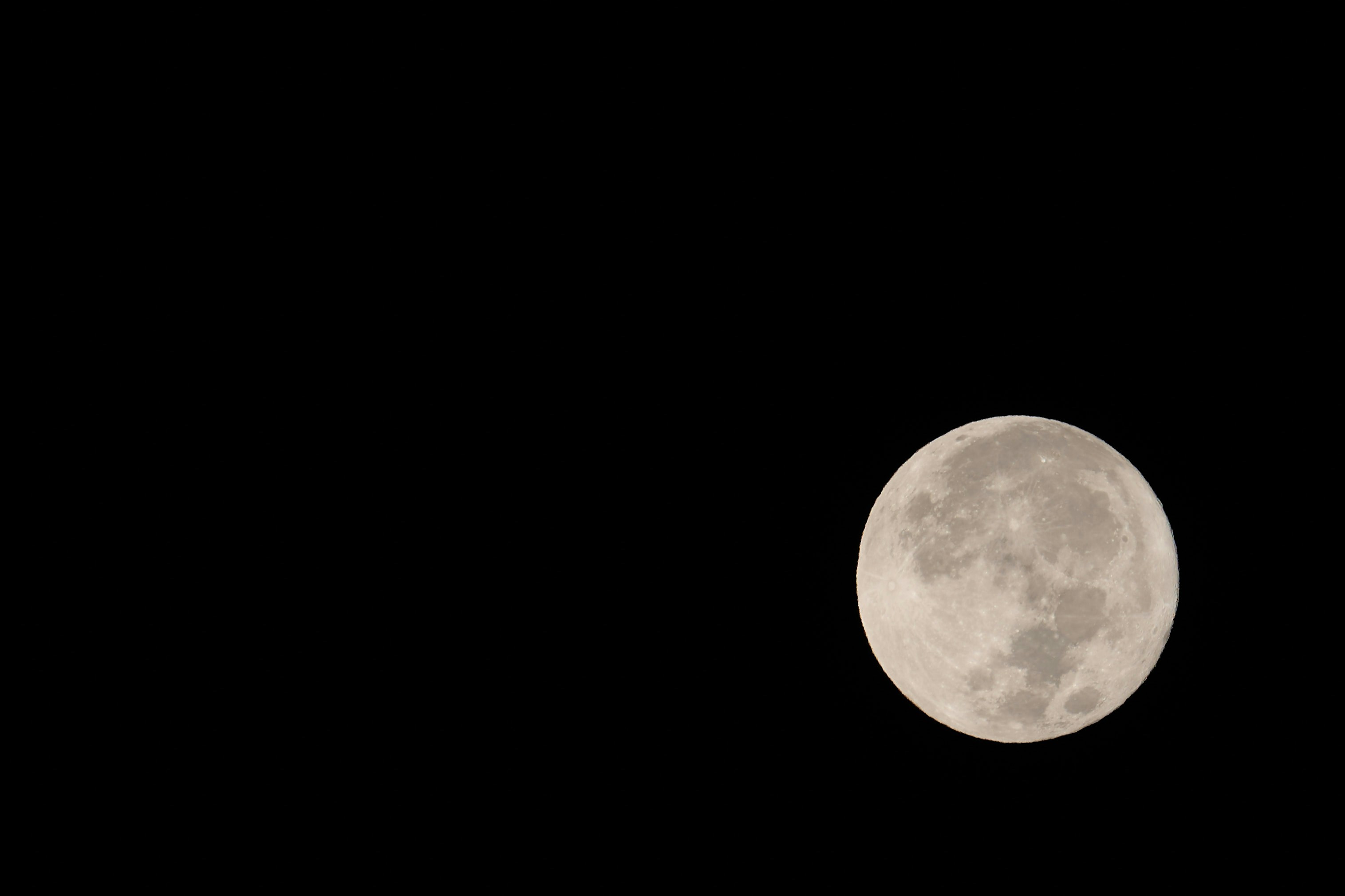 Photo by wolfgang_hasselmann