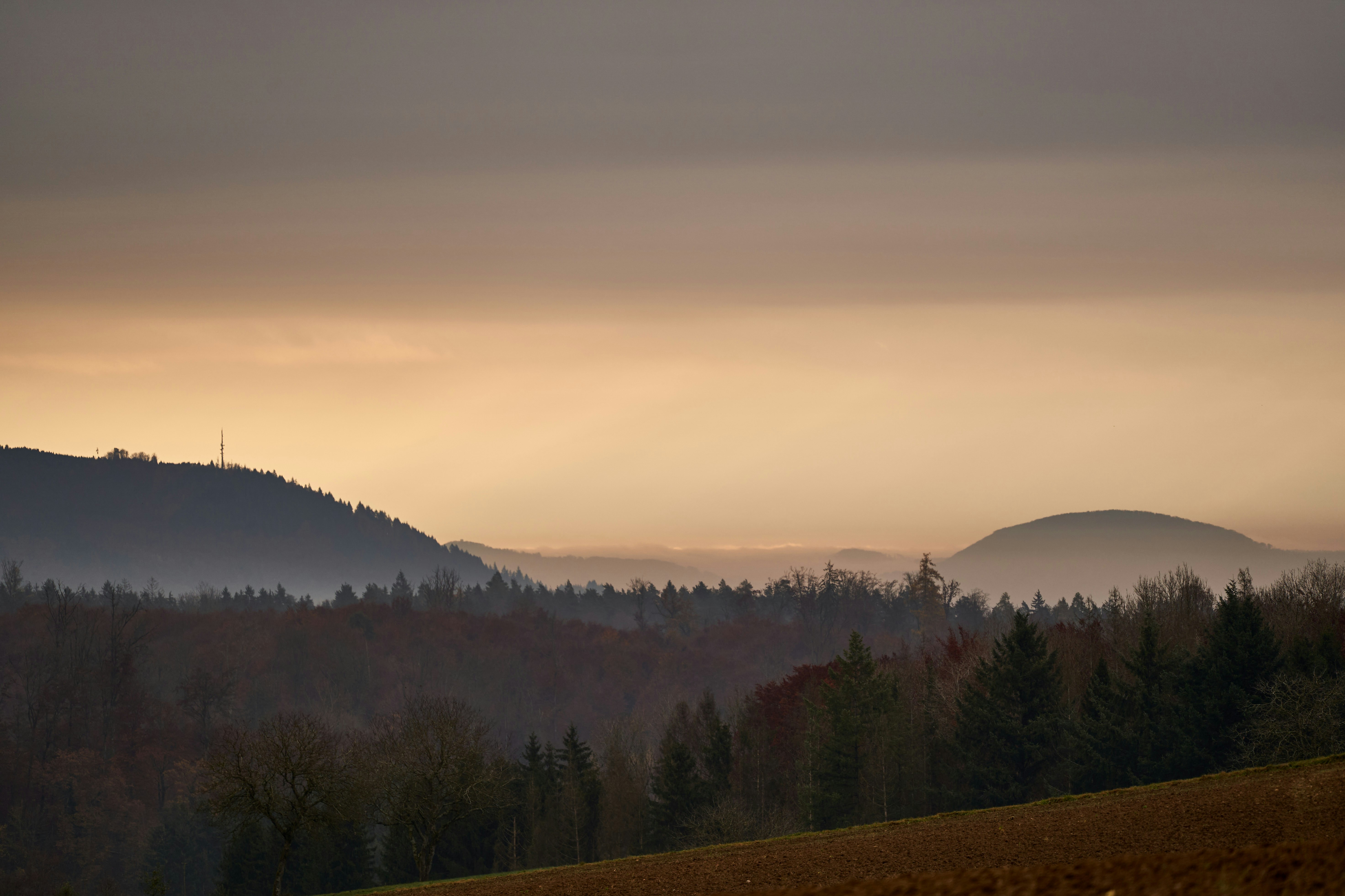 Photo by wolfgang_hasselmann