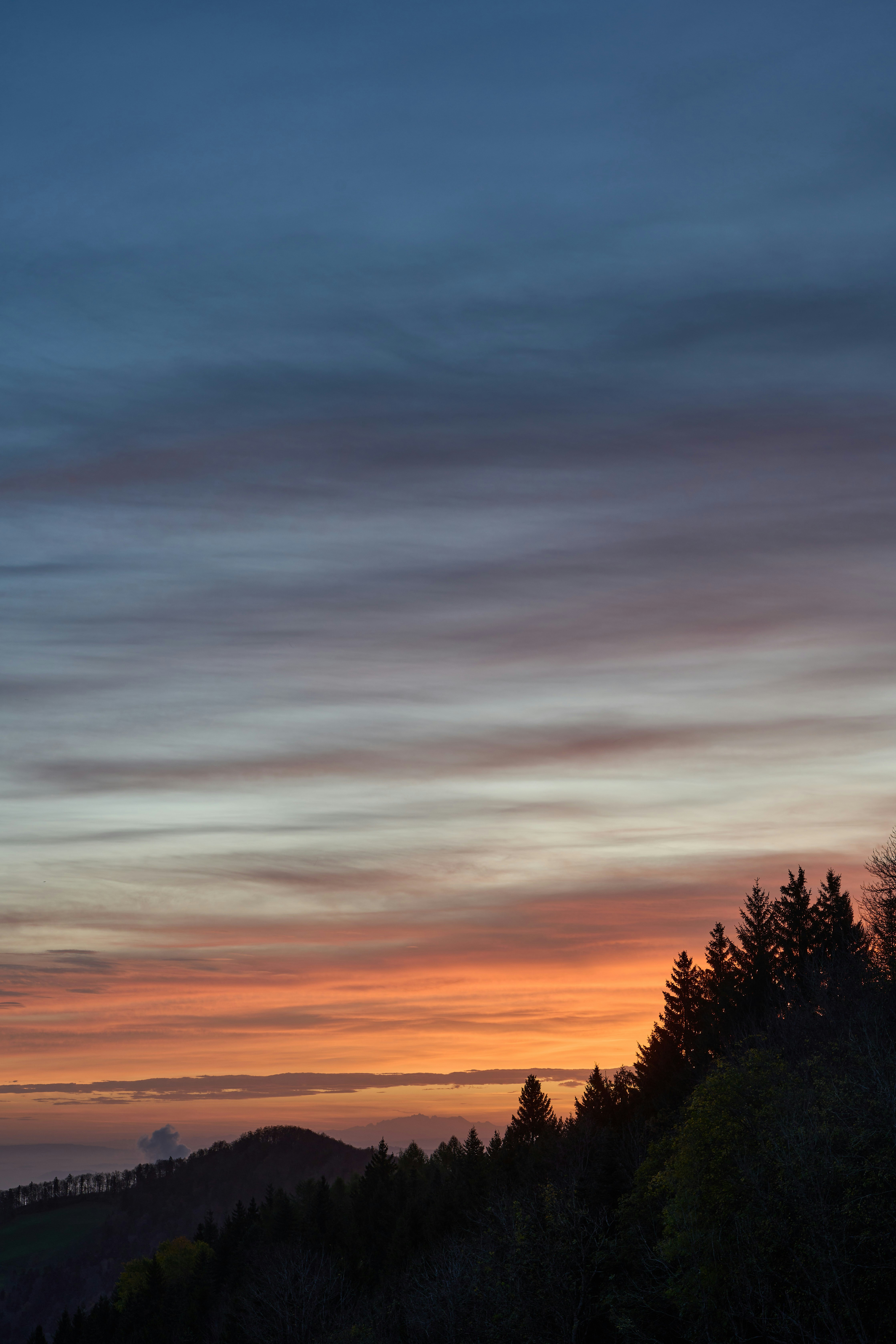 Photo by wolfgang_hasselmann