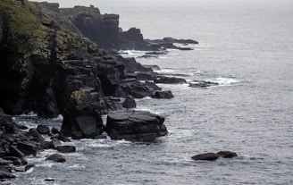 a large body of water next to a rocky shore