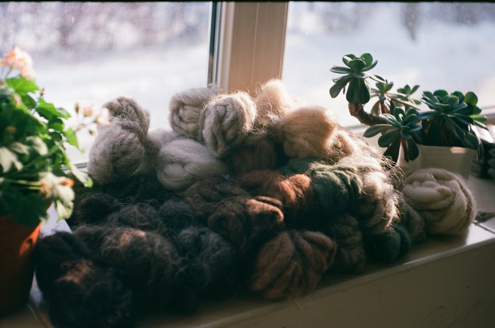 a pile of yarn sitting on a window sill next to a potted plant