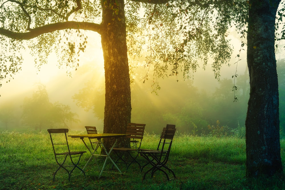 a table and chairs under a tree in a field