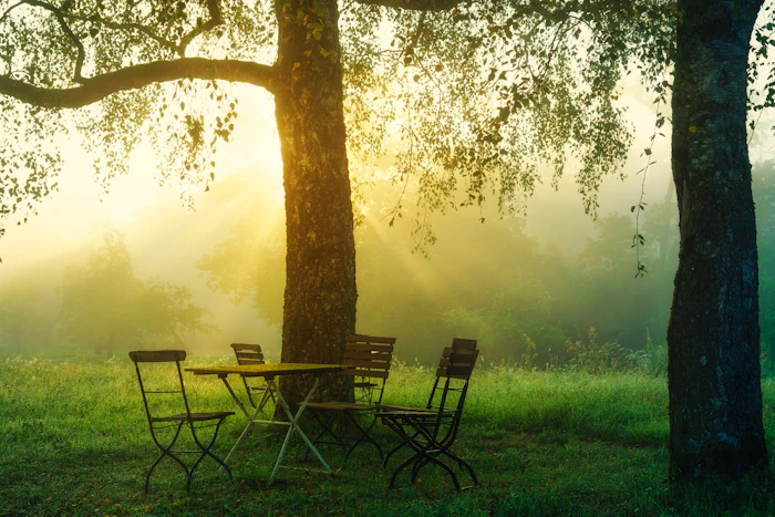 Bistrotisch unter einem großen Baum im Abendlicht