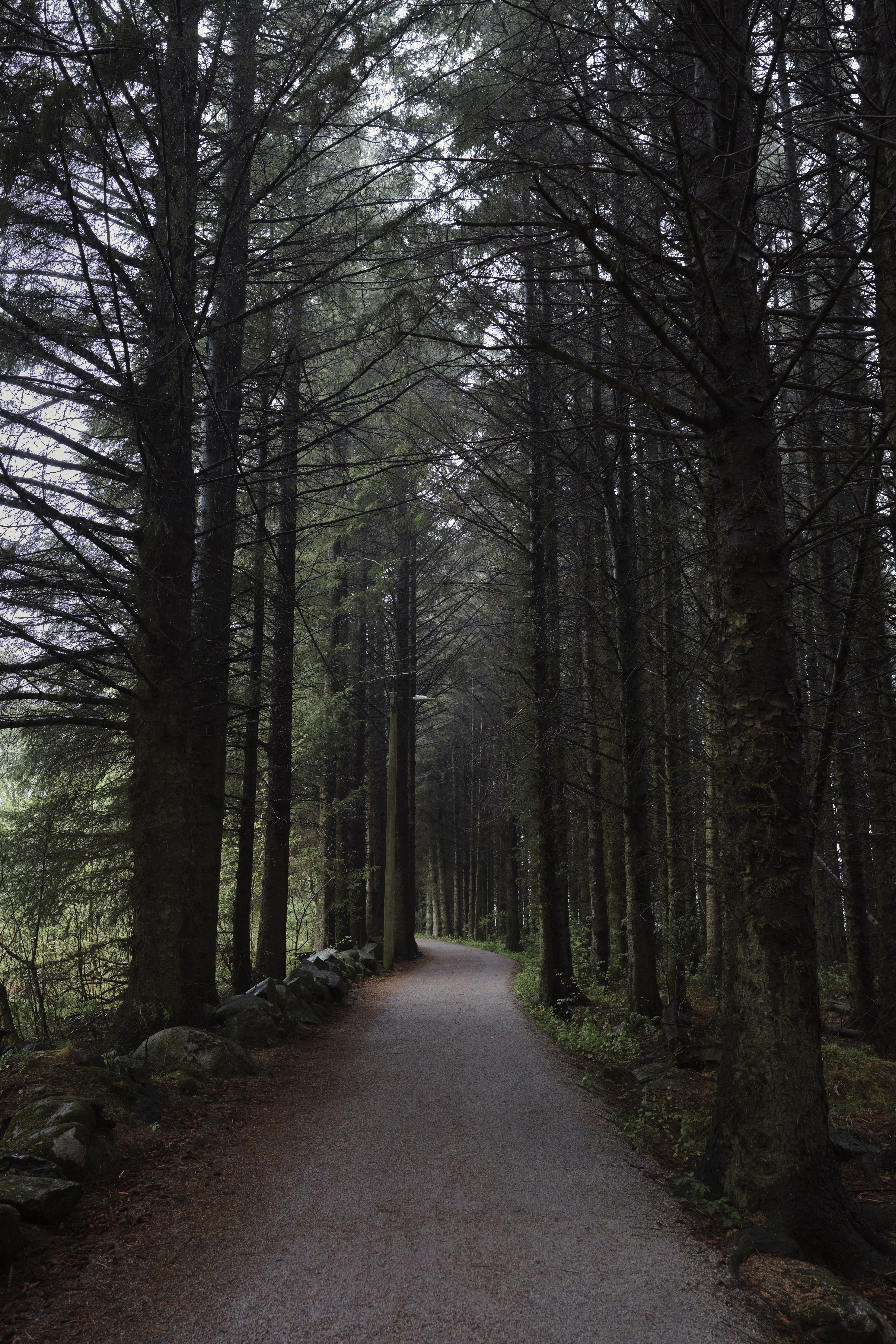 Photo by victor_vector