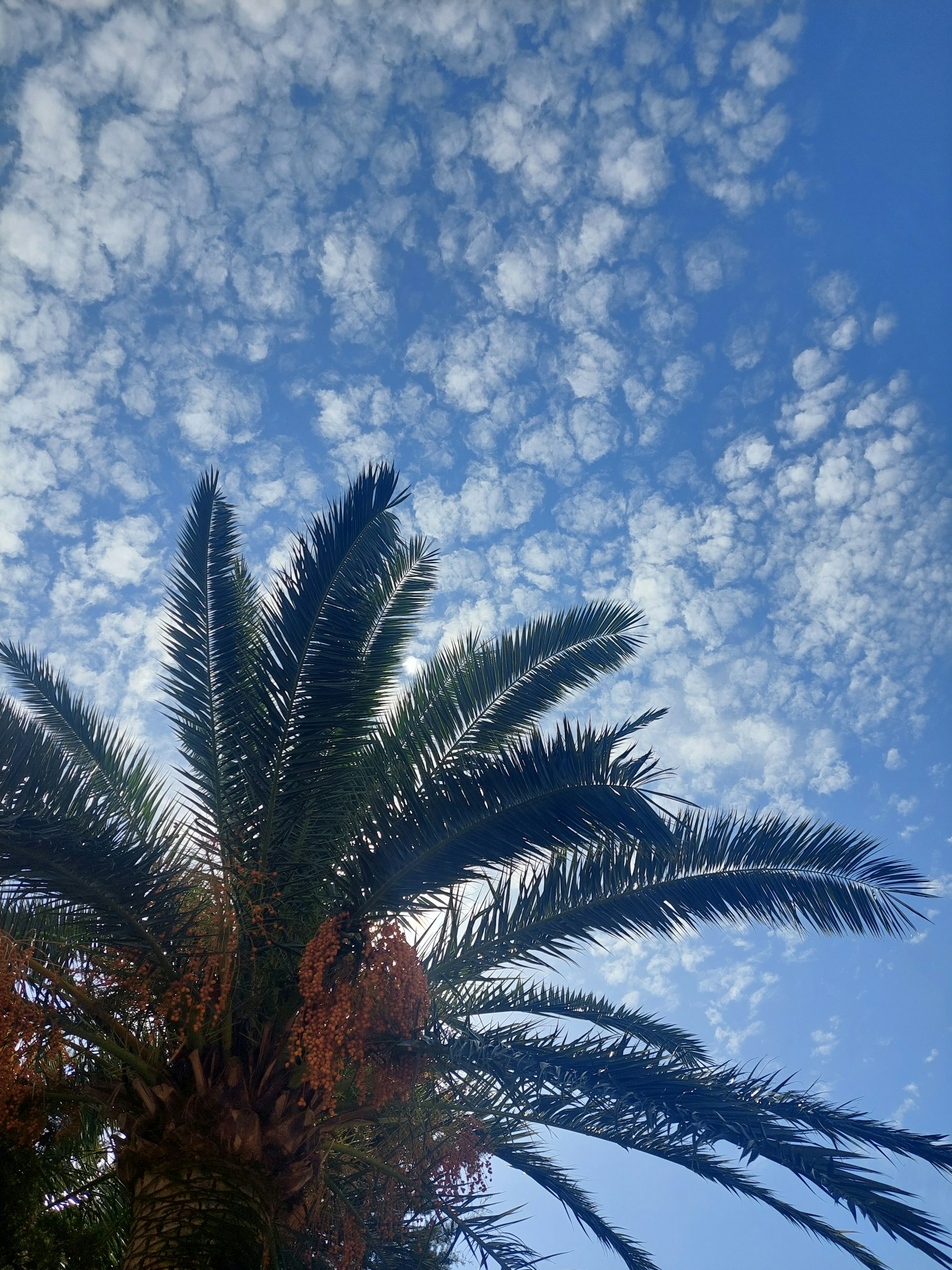 woman wearing yellow long-sleeved dress under white clouds and blue sky during daytime