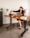 A woman in a black suit is seated at a wooden desk with an open laptop in front of her. She is reaching for a traditional black rotary phone on the desk. The workspace includes decorative elements such as a vase with dried grass, a small plant, and a stack of books. A lamp stands in the background.
