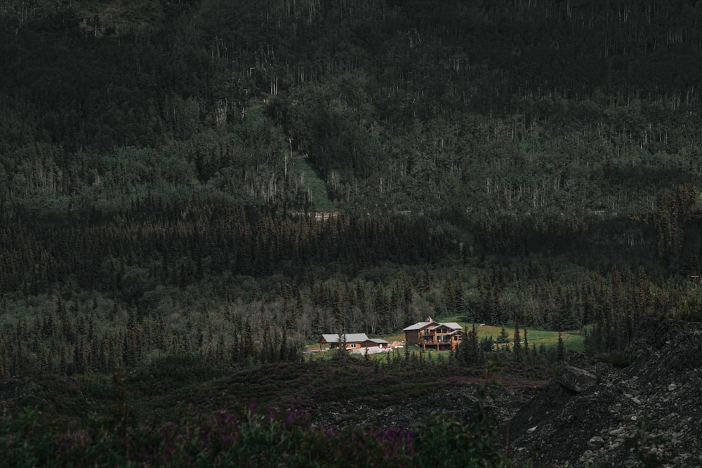 a house in the middle of a forest