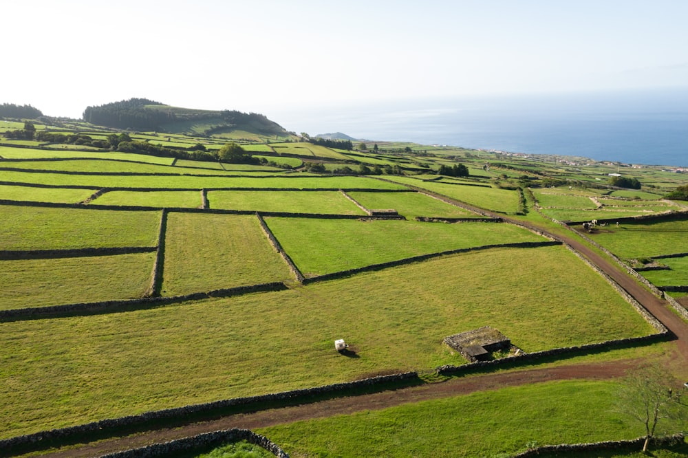 an aerial view of a grassy field with sheep