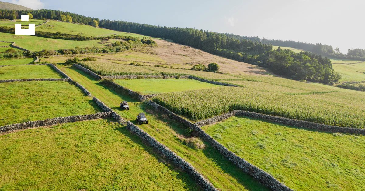Field Exploring An aerial view of a lush green field photo – Free Buggy Image on Unsplash