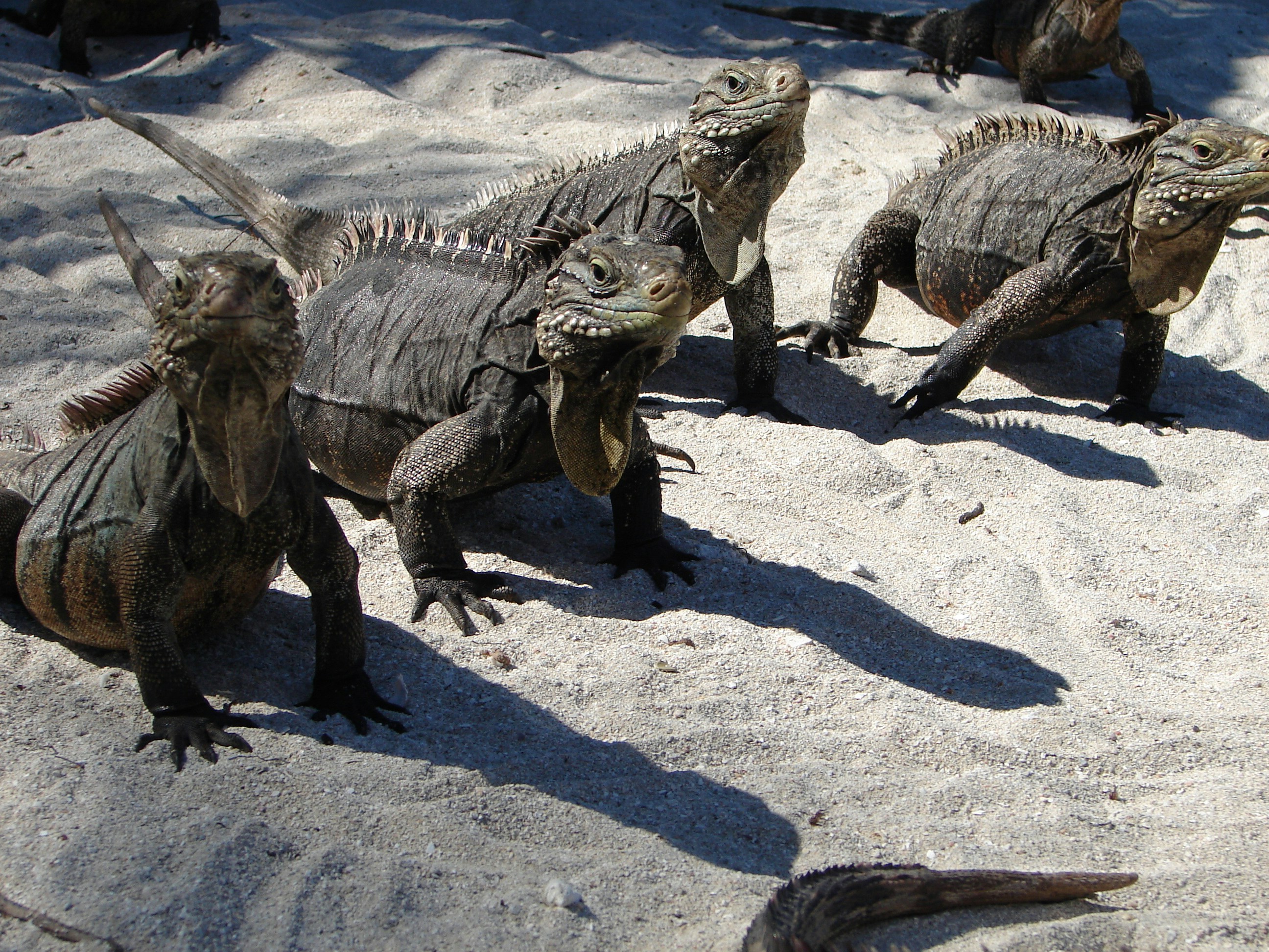 23. Ancient Enemies (image credits: unsplash)