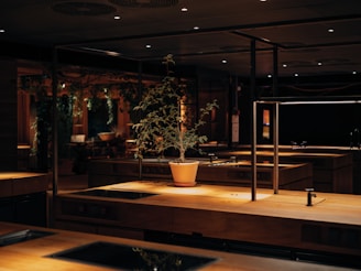 a potted plant sitting on top of a wooden table