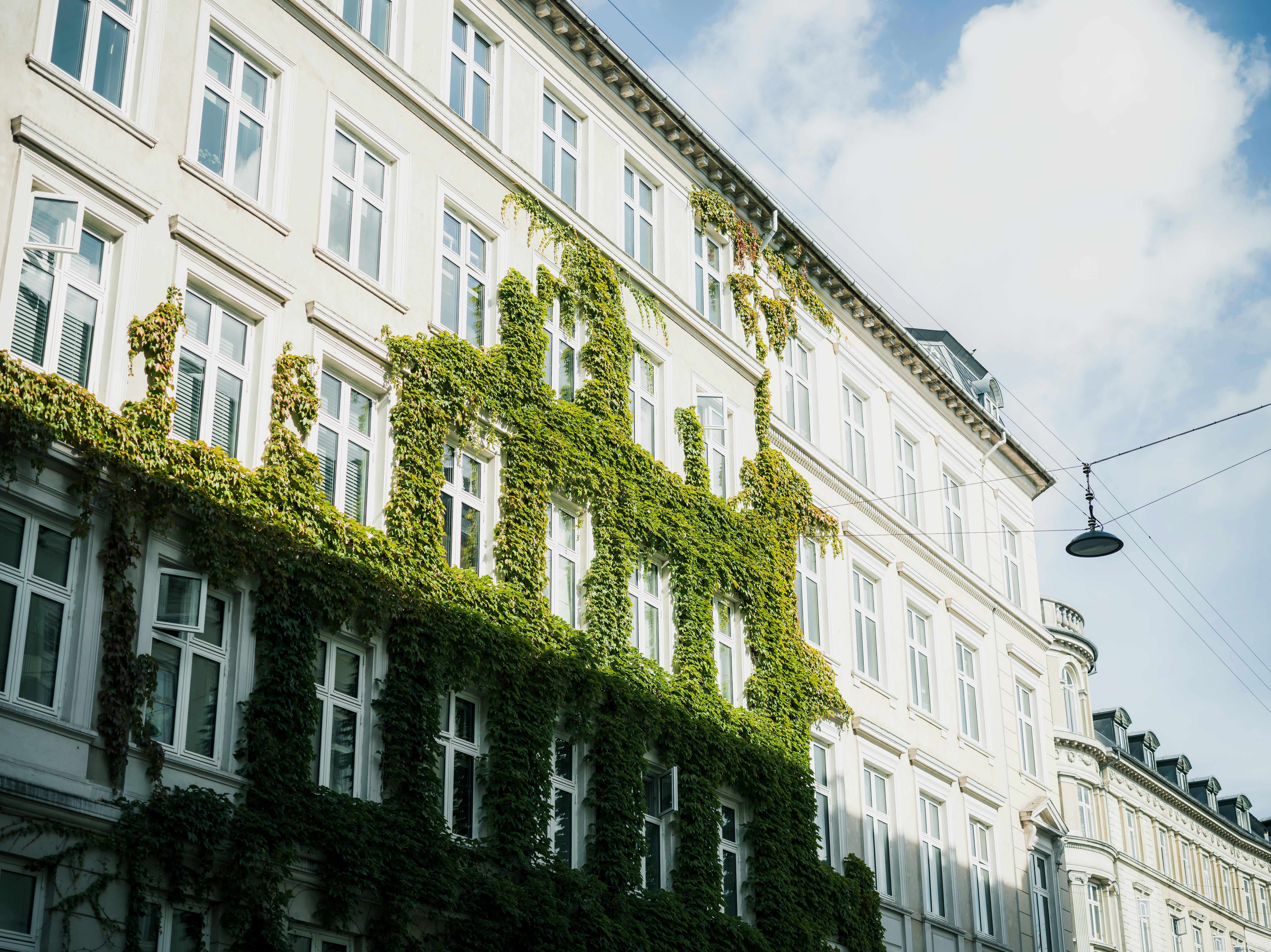 Photo by yohanmarion