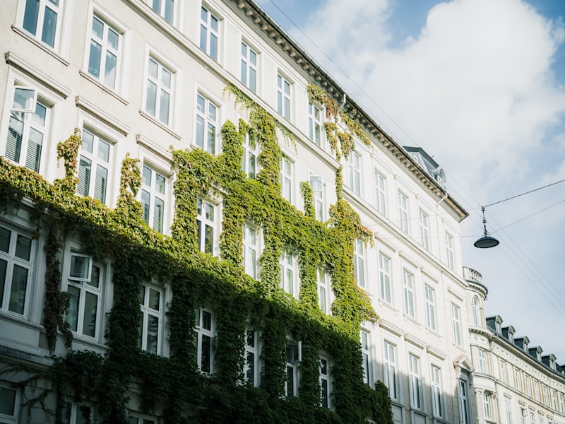 SPC для сдачи квартиры в аренду