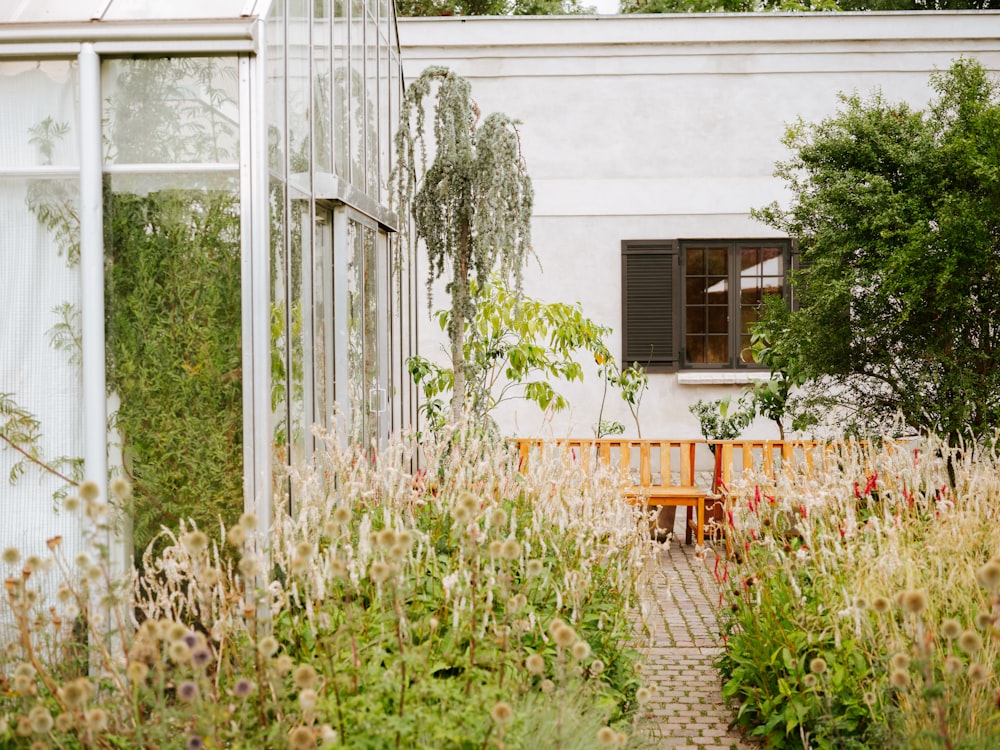 a wooden bench sitting in the middle of a garden