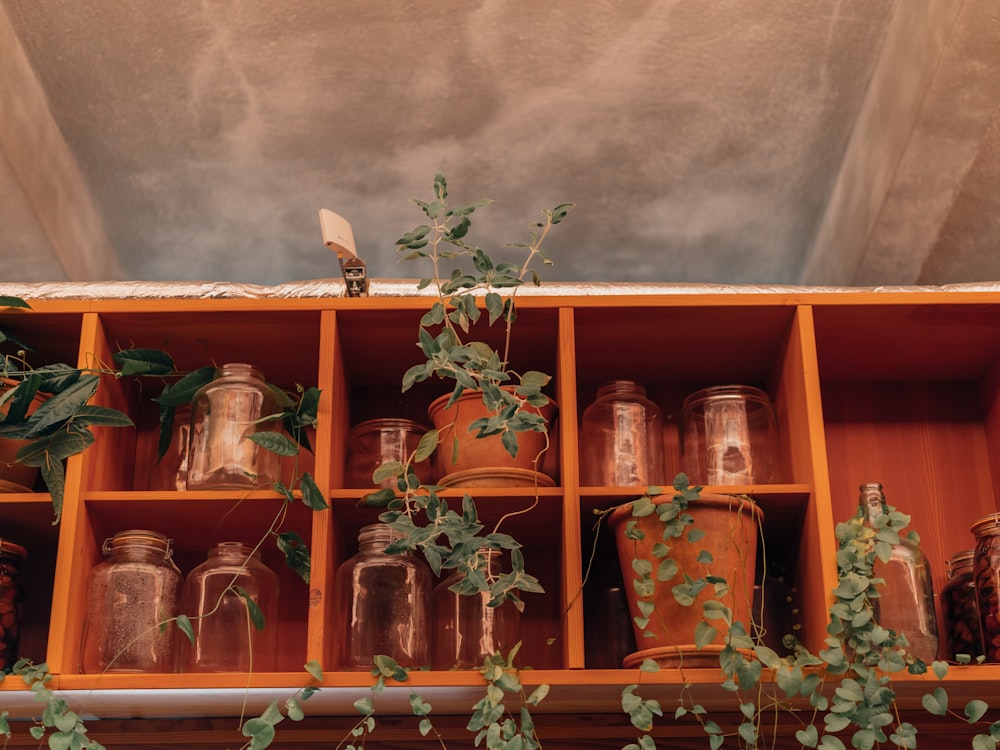 a shelf filled with lots of jars and plants
