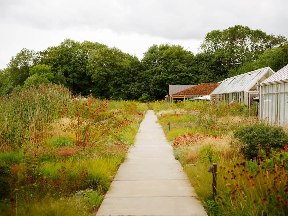 a path in the middle of a garden with a house in the background