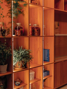 Cozy household items arranged on wooden shelves with warm accents and plants