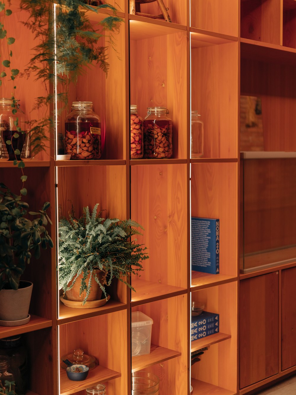 a wooden shelf filled with lots of plants