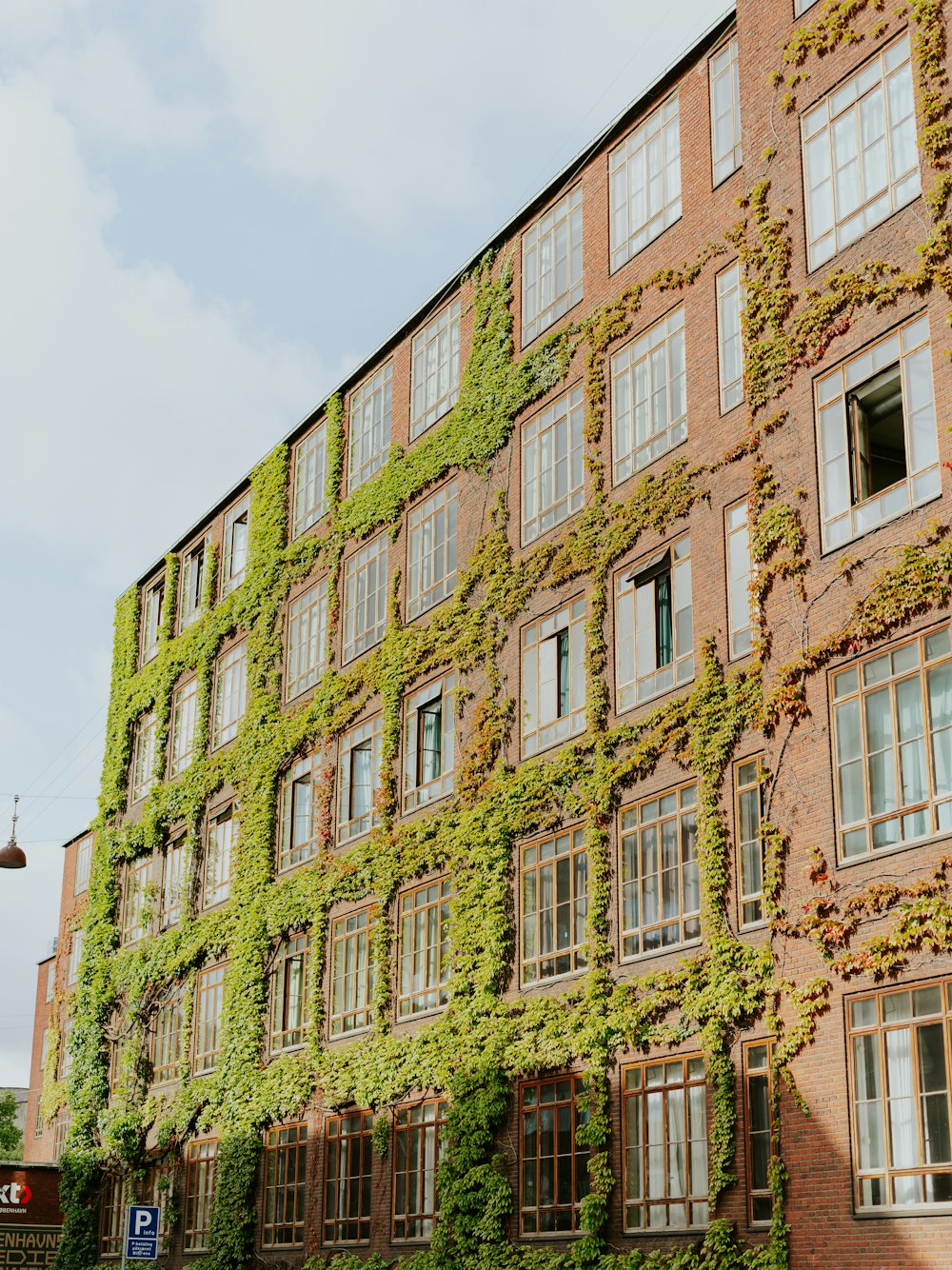 a building covered in vines and ivys