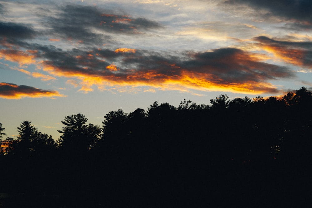 the sun is setting over the trees in the forest