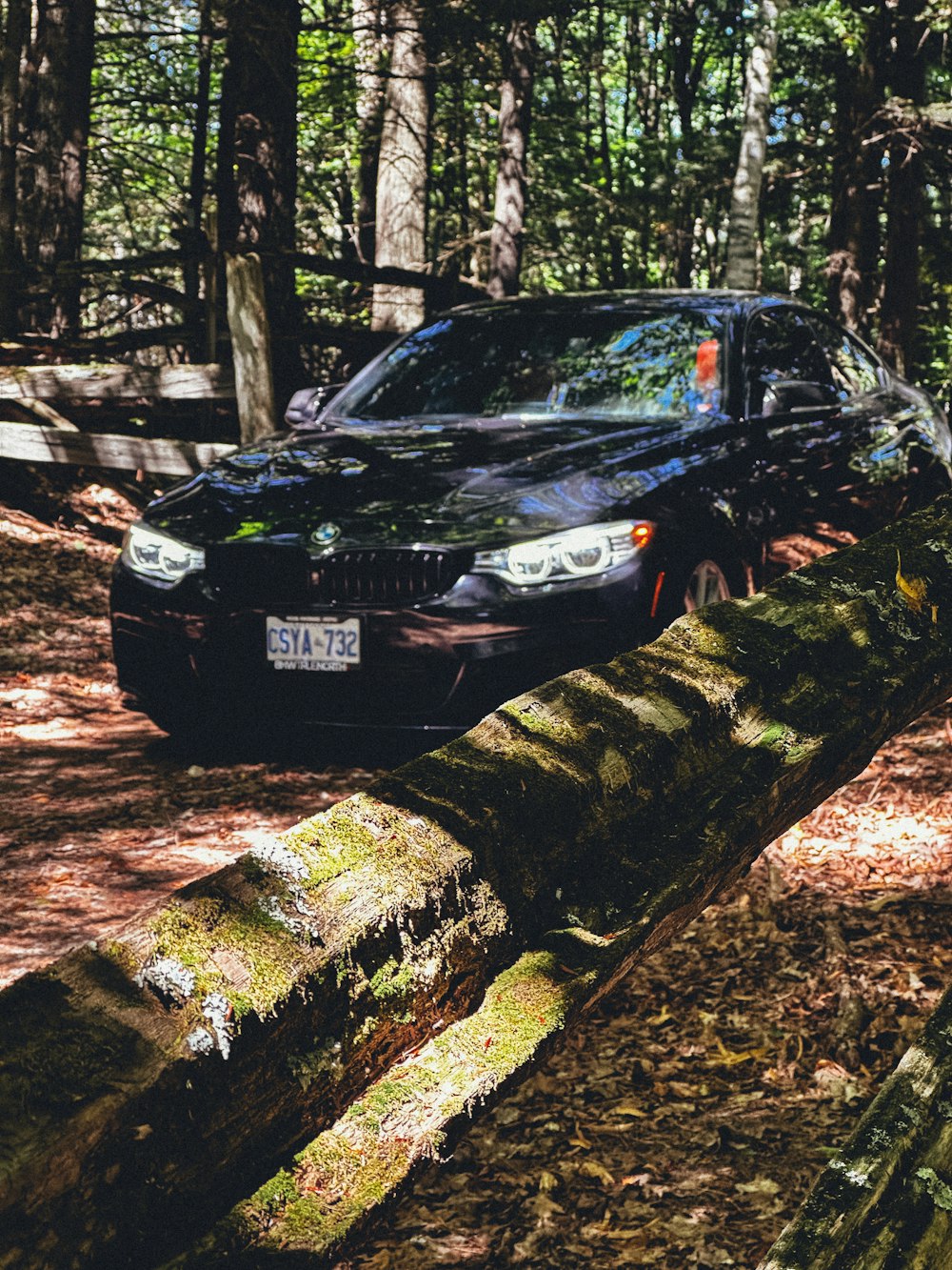 a car parked on a log in the woods