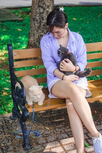 A group of volunteers gently caring for rescued community cats in a sunny park.