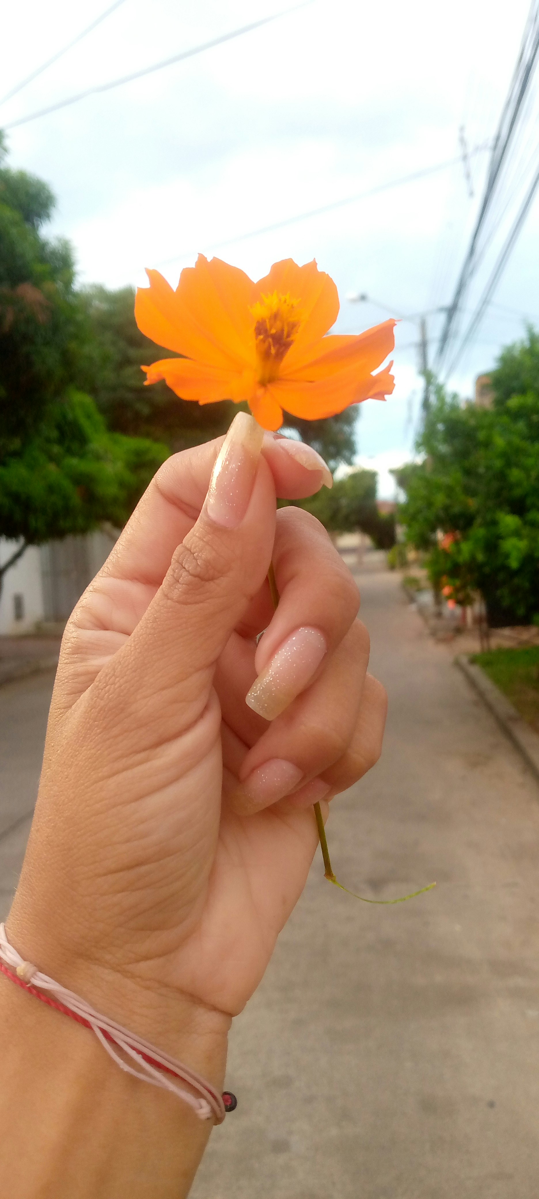 Vibrant Sunset Nail Polish