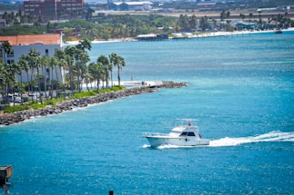 A scenic view of Punta Cana with a whale watching boat.