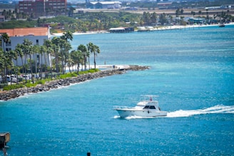 A scenic coastal view featuring a vibrant turquoise ocean with a white motorboat speeding by. Palm trees line a rocky shore, leading up to a white building with a red-tiled roof. In the background, a lush green landscape and various structures are visible, indicating a distant town or port.