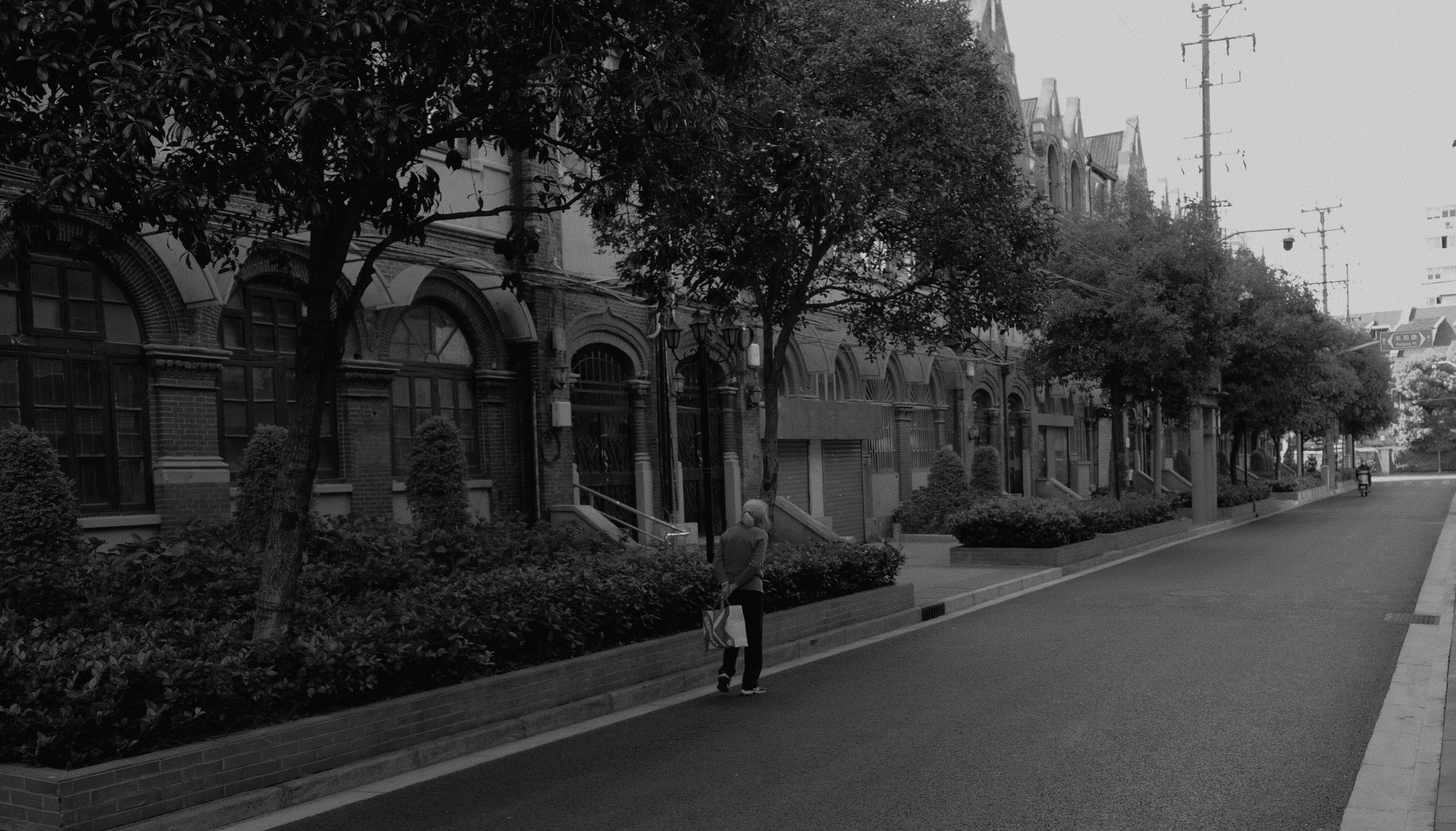 Photo by geraltyichen