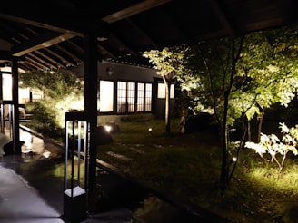A cozy outdoor garden with ancient trees and warm lighting at sunset