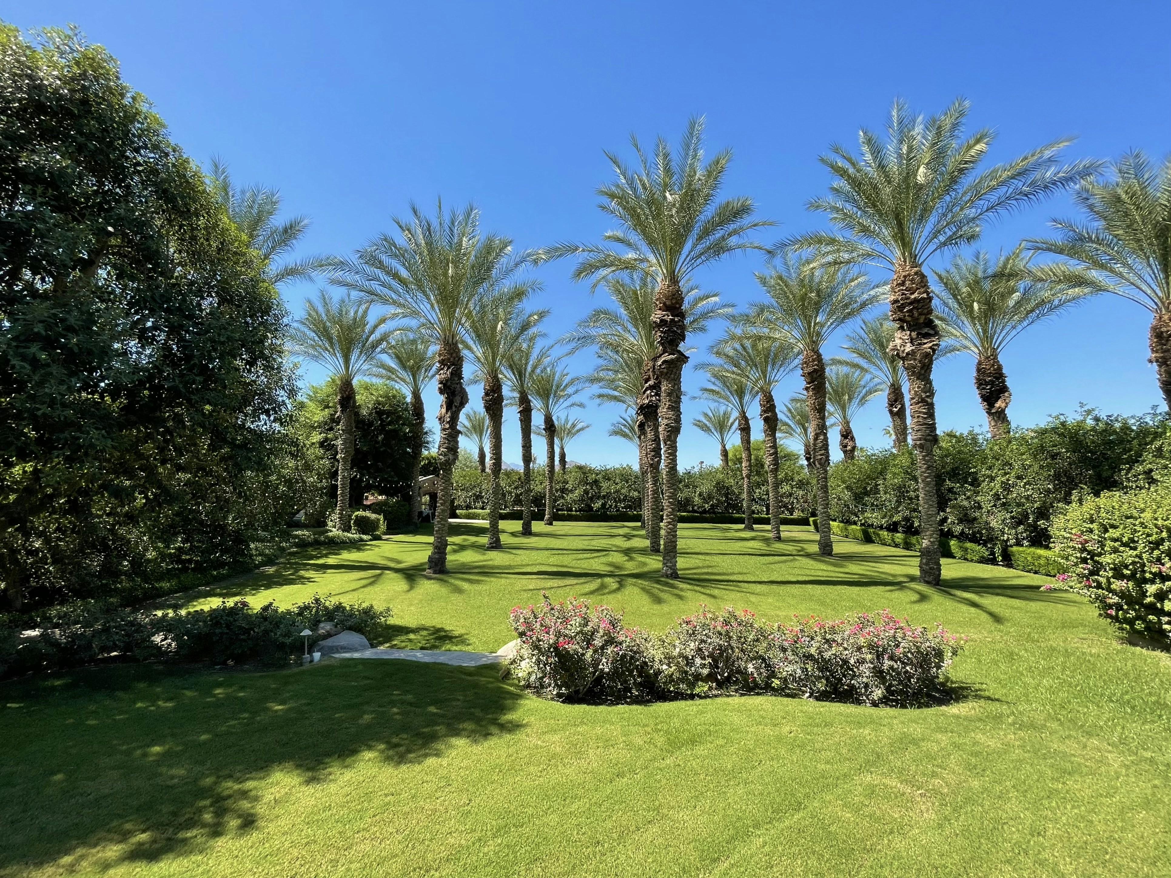 Photo by fotographyfanatik