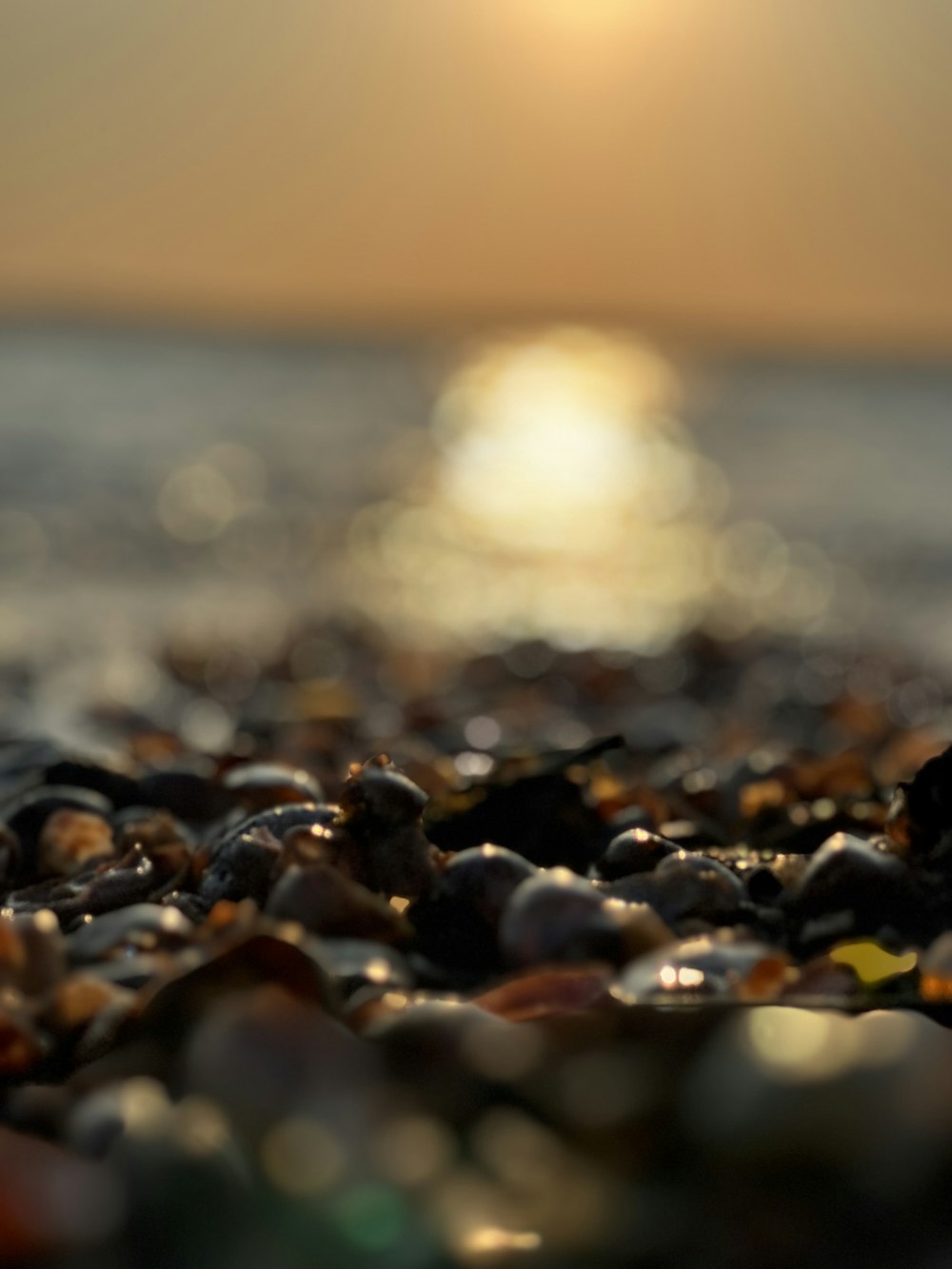 a close up of rocks on a beach with the sun in the background