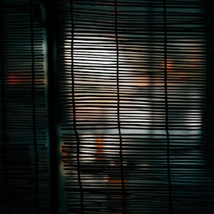 Vertical wooden slats of a window blind create an abstract pattern with blurred light and shadow in the background, suggesting an indoor scene with subdued lighting and a hint of warm colors.