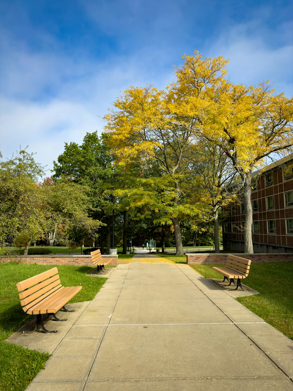 two benches sitting on the side of a sidewalk