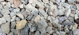 A collection of numerous small, irregularly shaped stones or gravel of varying sizes. The stones range in color from gray to brown, with some having hints of yellow. A few dried leaves are scattered among the stones.