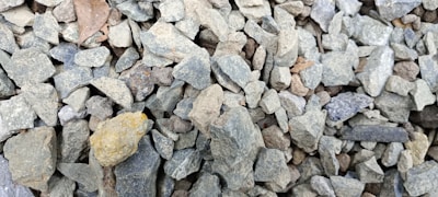 A collection of numerous small, irregularly shaped stones or gravel of varying sizes. The stones range in color from gray to brown, with some having hints of yellow. A few dried leaves are scattered among the stones.