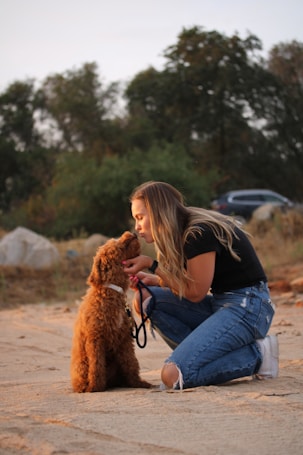 A woman crouches on a sandy surface, affectionately interacting with a curly-haired, brown dog. She is wearing a black shirt and ripped blue jeans, holding a leash. The background includes blurred trees and a parked car.