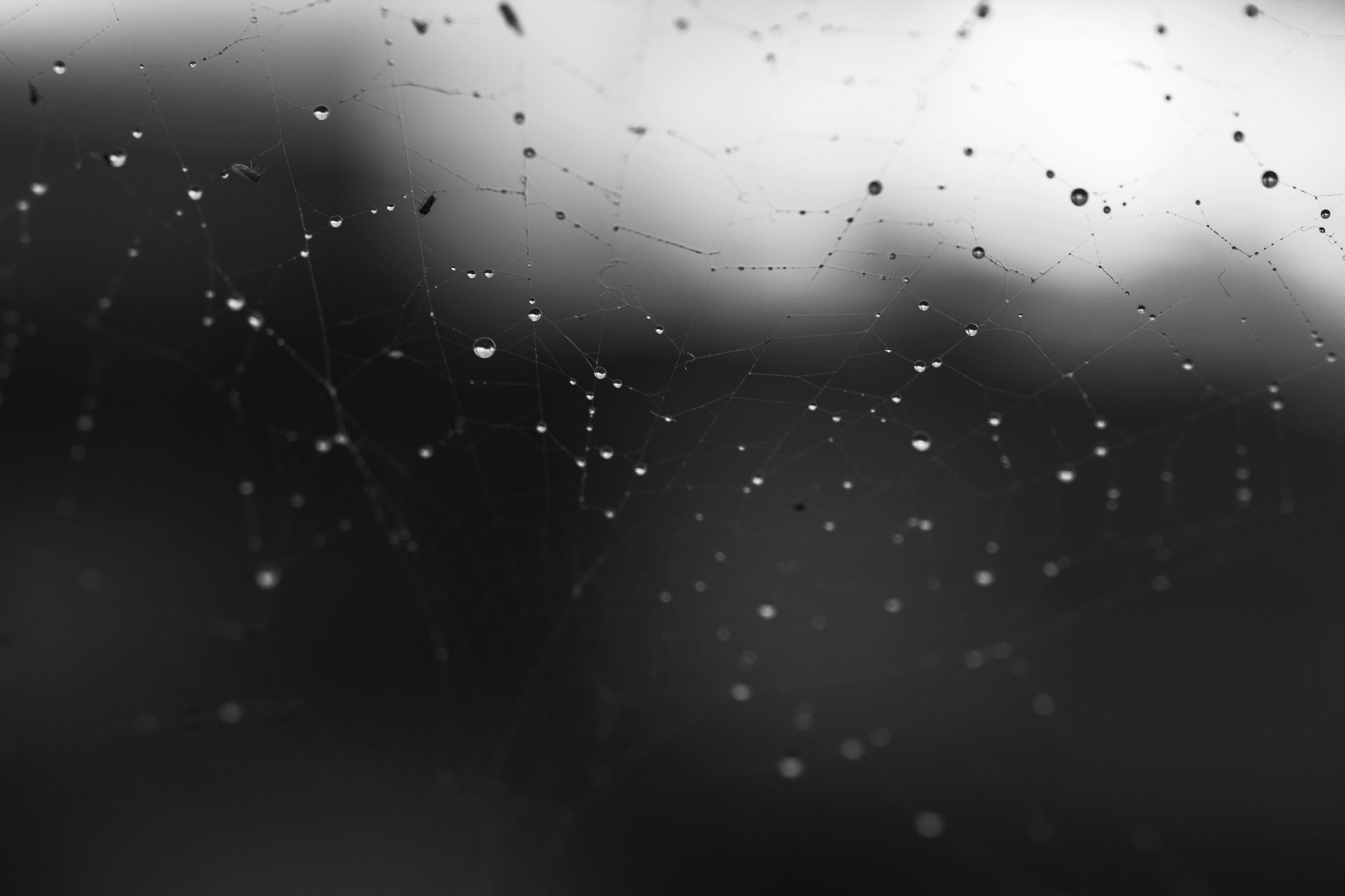 Photo by a_mans_photography